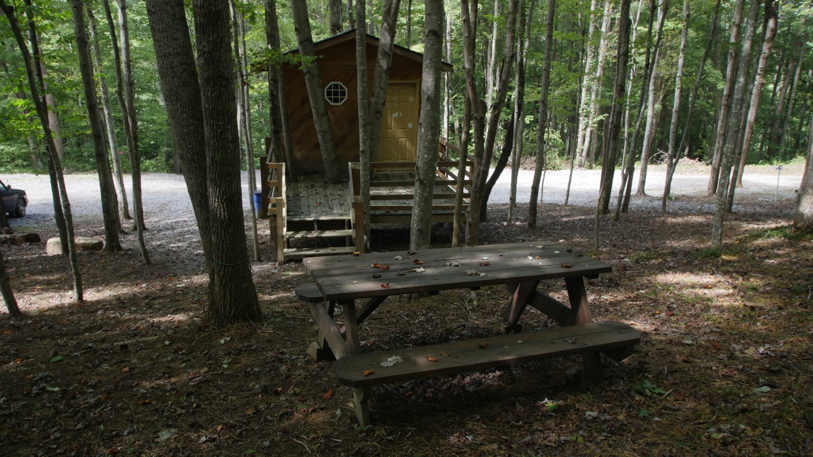 Picnic table beside a rustic treehouse