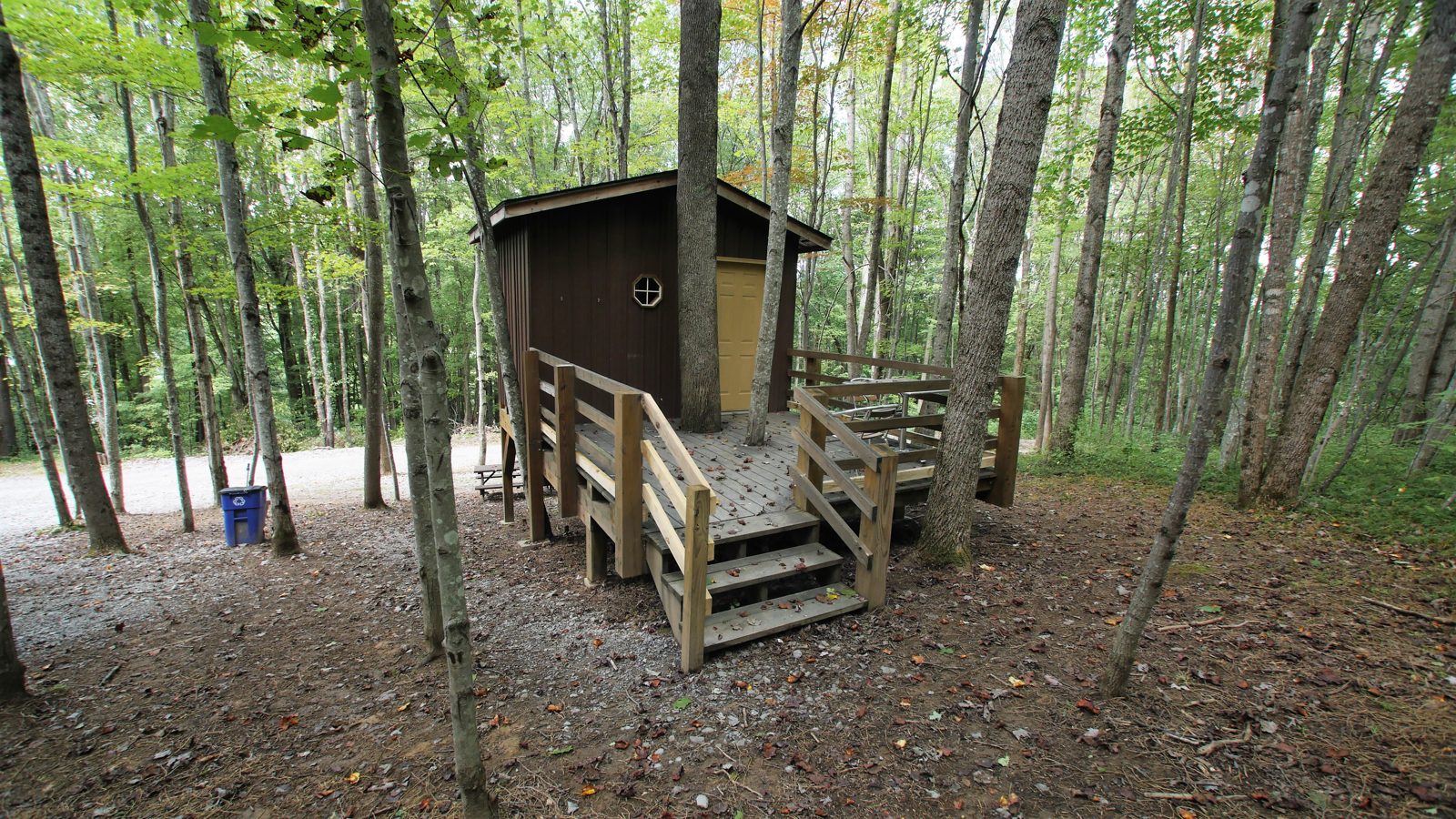 Dark-stained treehouse with wraparound deck in the woods