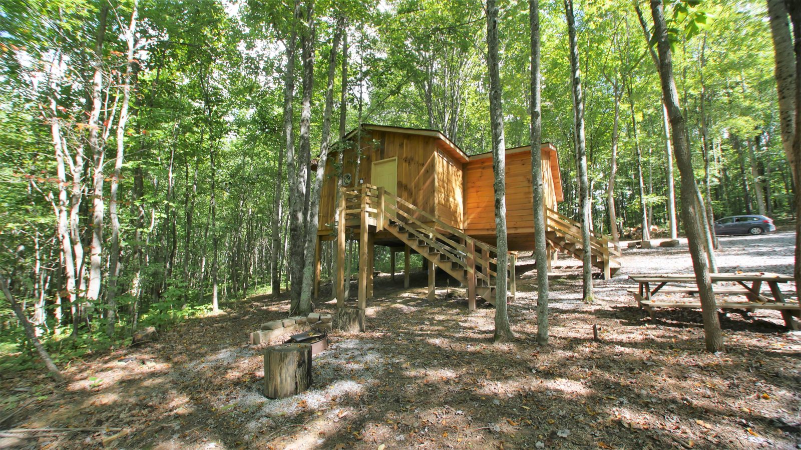 North Village treehouse exterior