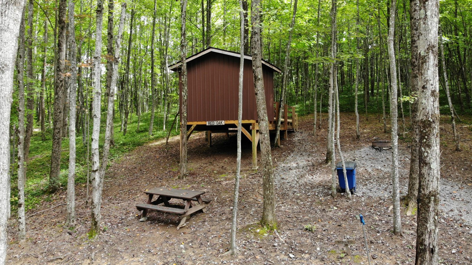Red Oak treehouse exterior