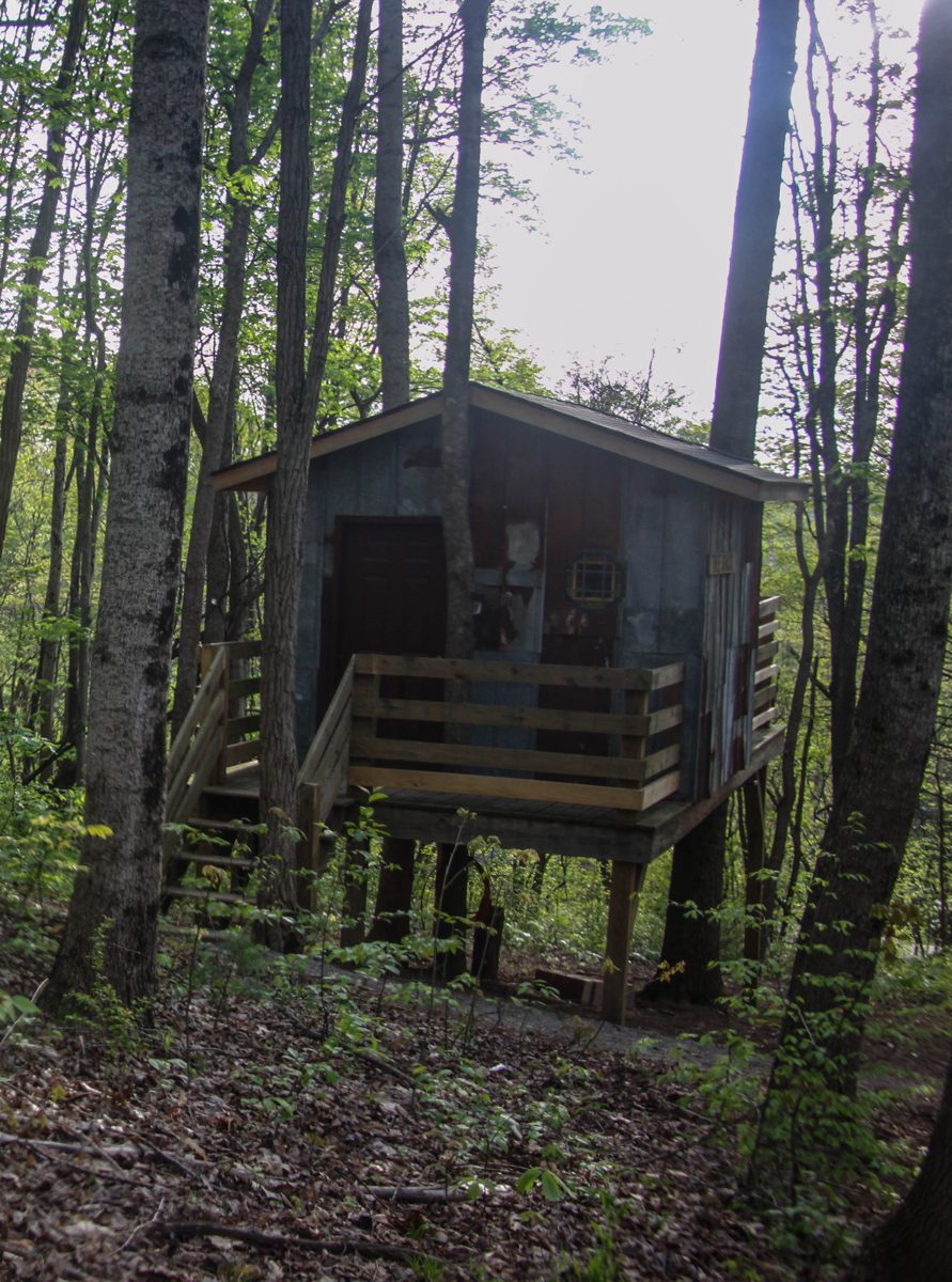 The Arbor treehouse exterior