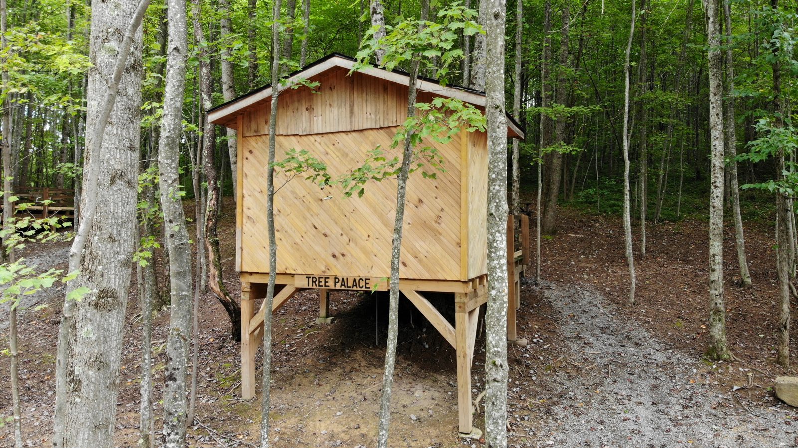 Tree Palace treehouse exterior