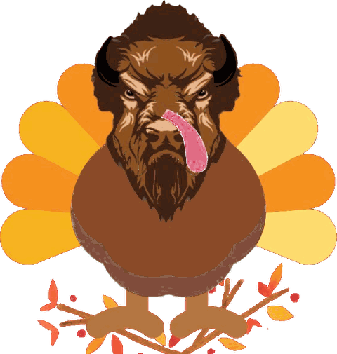 Buffalo Trail bison dressed as a Thanksgiving turkey